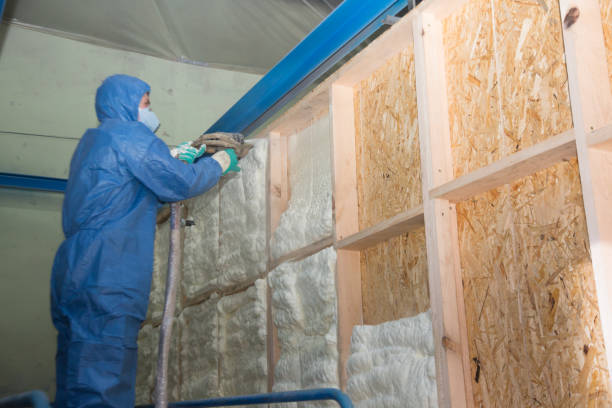 Professional Insulation Contractor in Lakeville, MN
